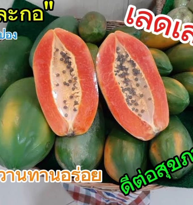 Item-000A1